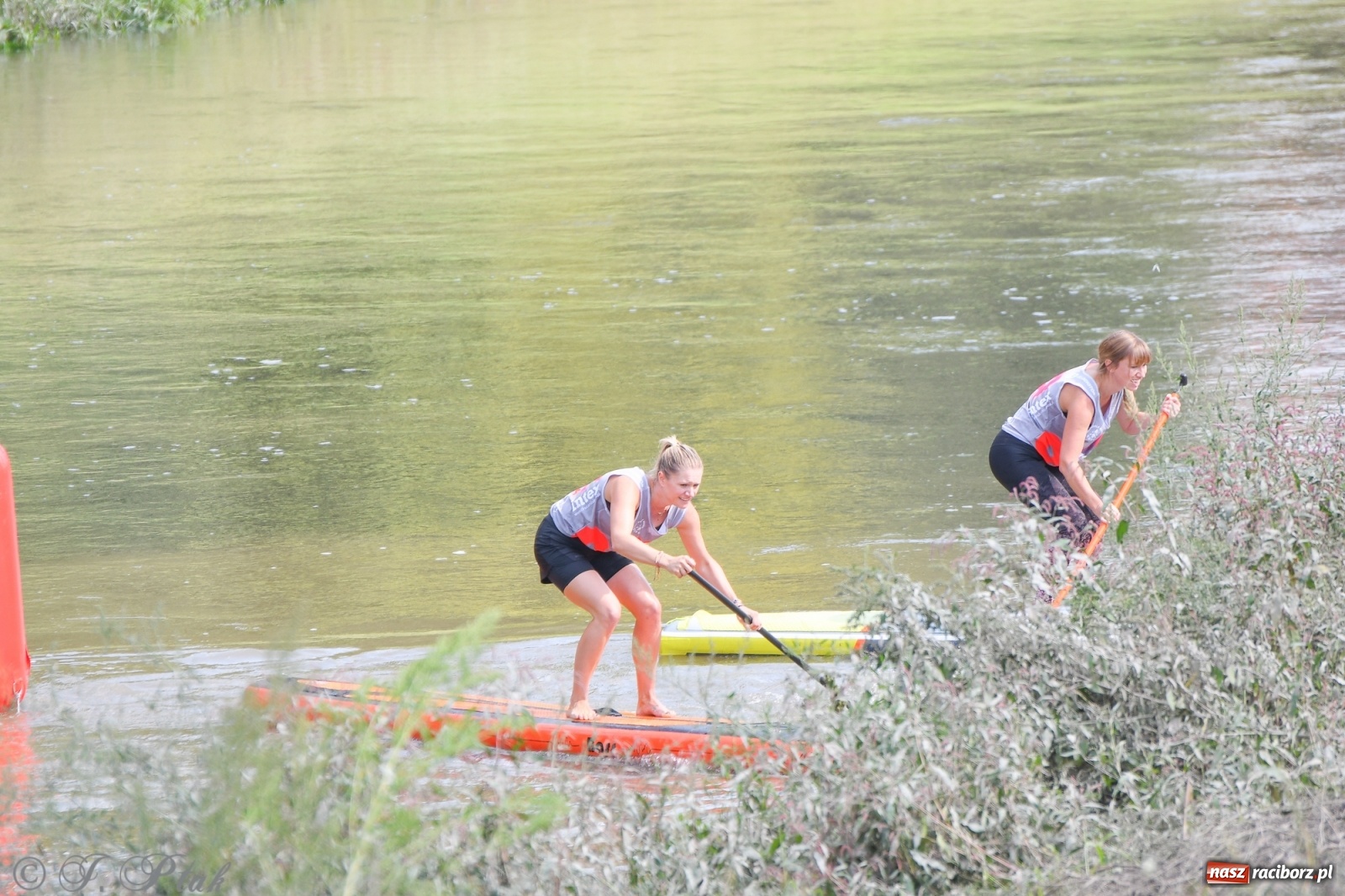 Zdjęcie w galerii na portalu naszraciborz.pl: Odra SUP CUP 2022 finałem Pucharu Polski wiadomości z regionu