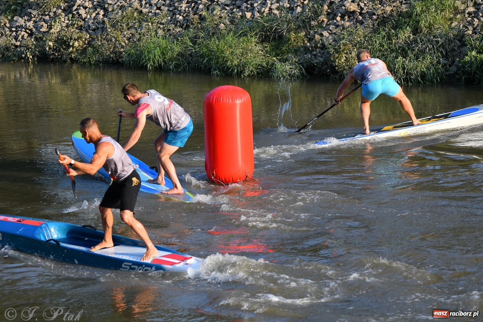 Zdjęcie w galerii na portalu naszraciborz.pl: Odra SUP CUP 2022 finałem Pucharu Polski wiadomości z regionu