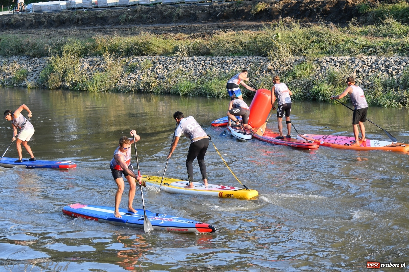 Zdjęcie w galerii na portalu naszraciborz.pl: Odra SUP CUP 2022 finałem Pucharu Polski wiadomości z regionu