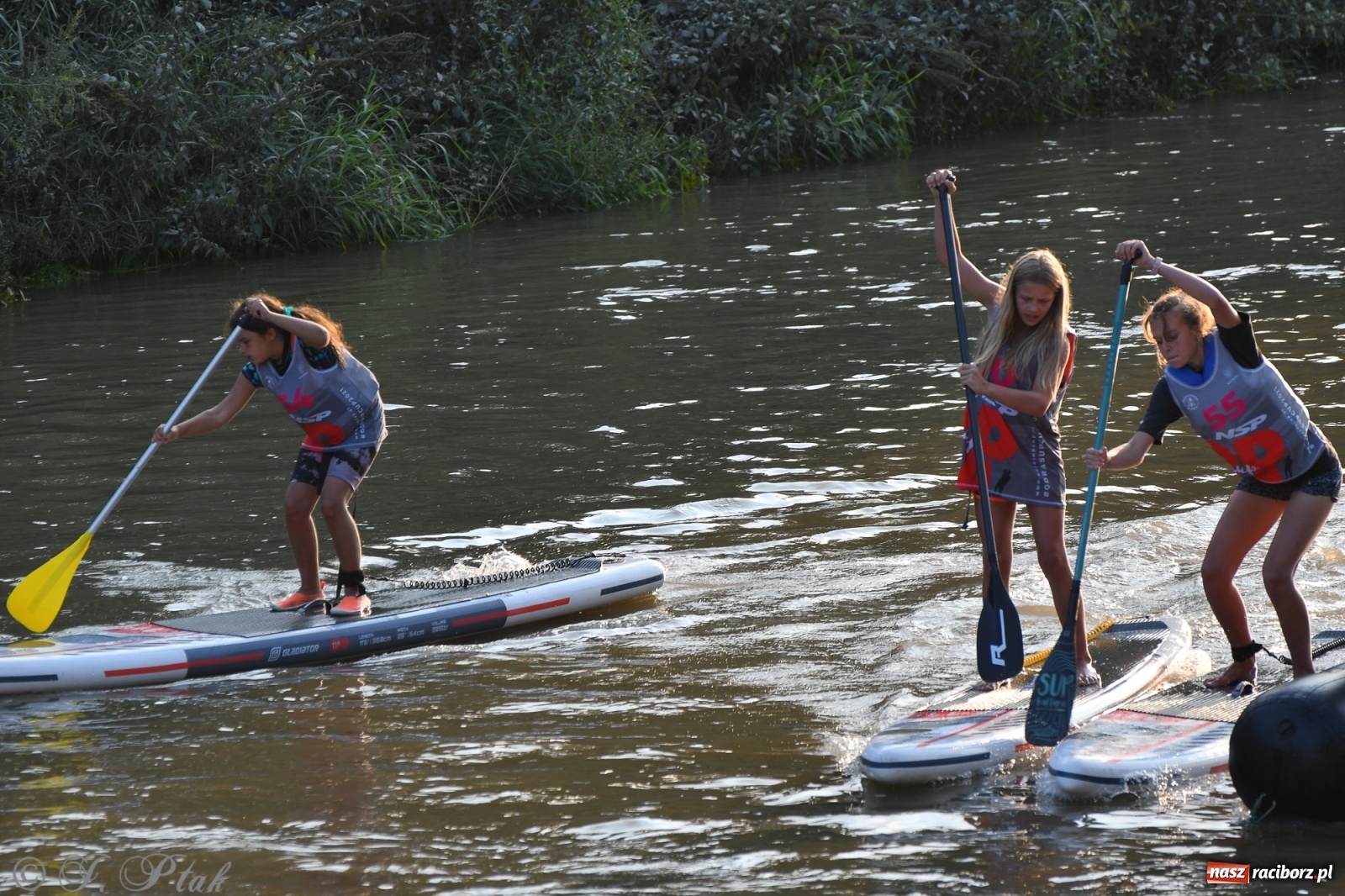 Zdjęcie w galerii na portalu naszraciborz.pl: Odra SUP CUP 2022 finałem Pucharu Polski wiadomości z regionu