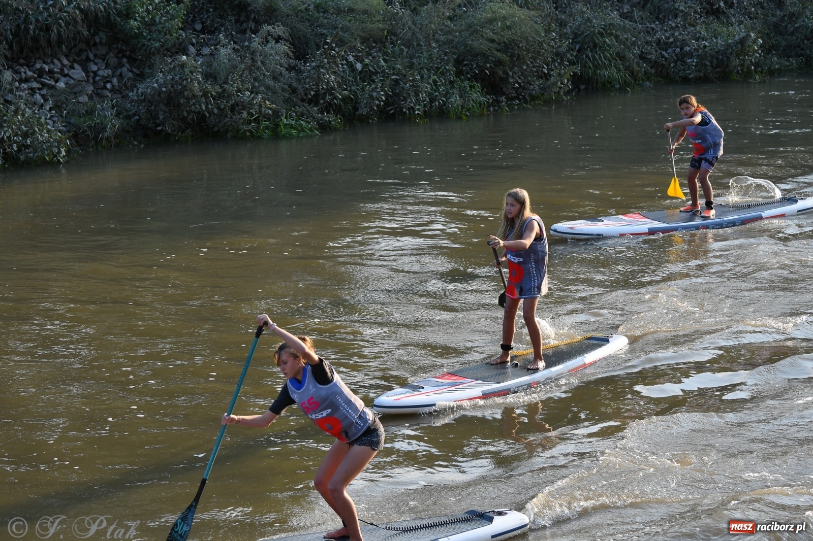 Zdjęcie w galerii na portalu naszraciborz.pl: Odra SUP CUP 2022 finałem Pucharu Polski wiadomości z regionu