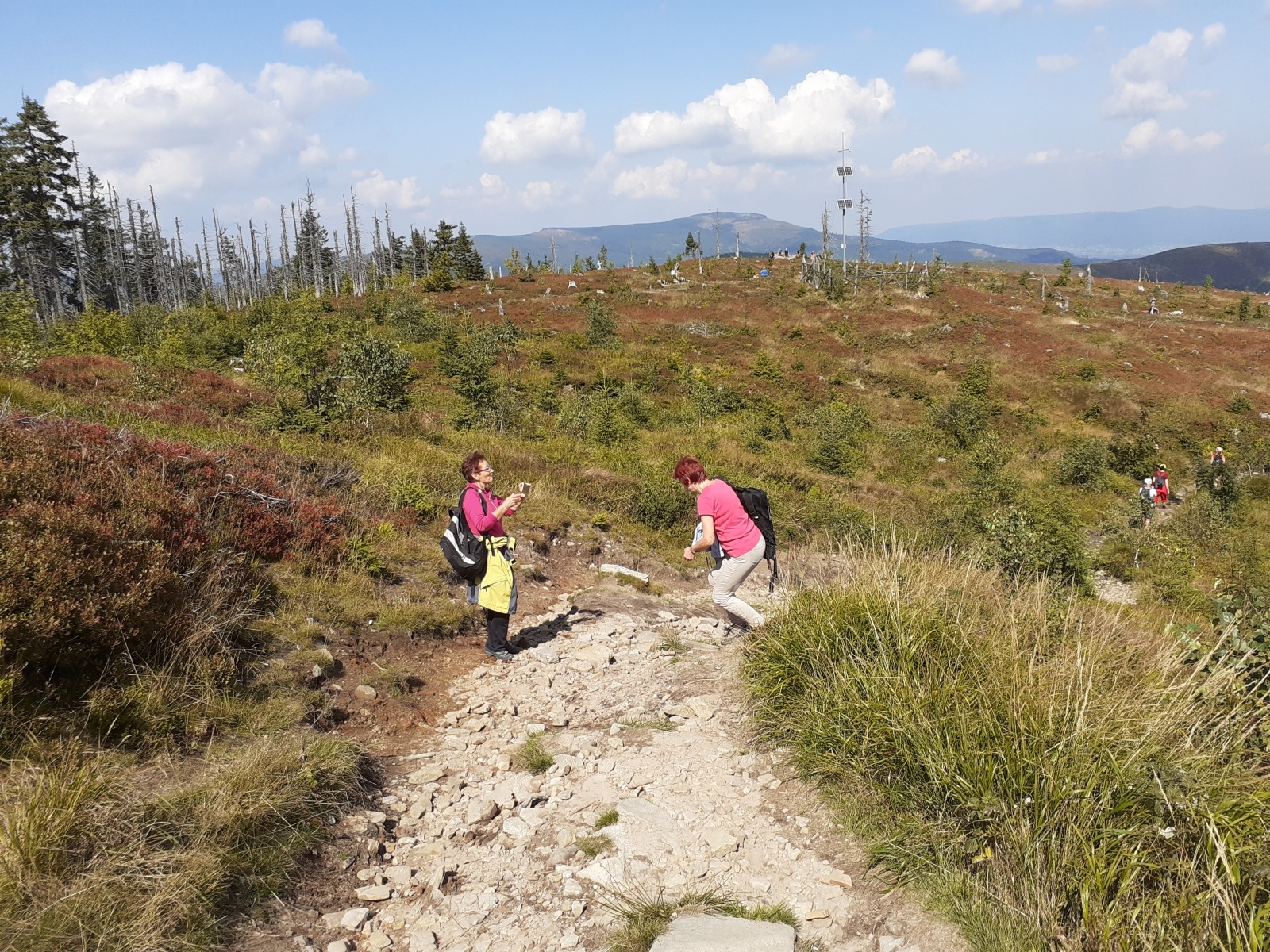 Zdjęcie w galerii na portalu naszraciborz.pl: Raciborzanie na szlakach Beskidu Śląskiego wiadomości z regionu