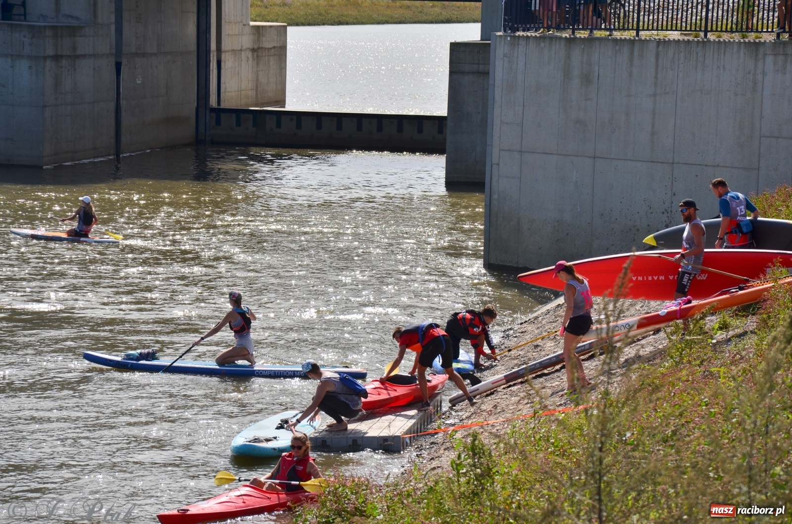 Zdjęcie w galerii na portalu naszraciborz.pl: Regaty Odra Sup Cup - long race wystartował spod zapory [FOTO i WIDEO] wiadomości z regionu