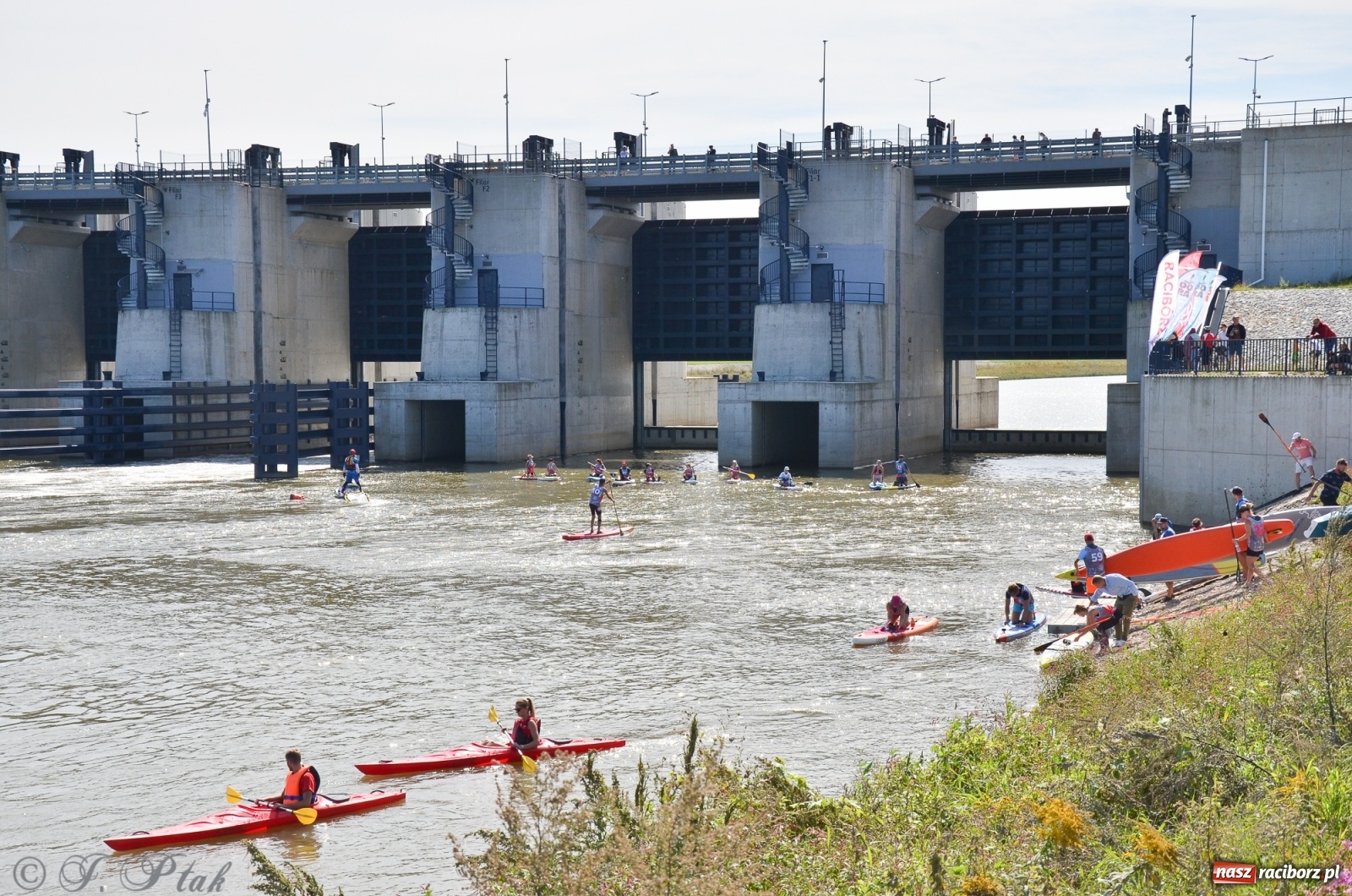 Zdjęcie w galerii na portalu naszraciborz.pl: Regaty Odra Sup Cup - long race wystartował spod zapory [FOTO i WIDEO] wiadomości z regionu