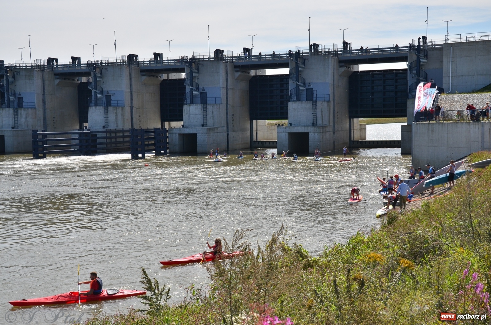 Zdjęcie w galerii na portalu naszraciborz.pl: Regaty Odra Sup Cup - long race wystartował spod zapory [FOTO i WIDEO] wiadomości z regionu