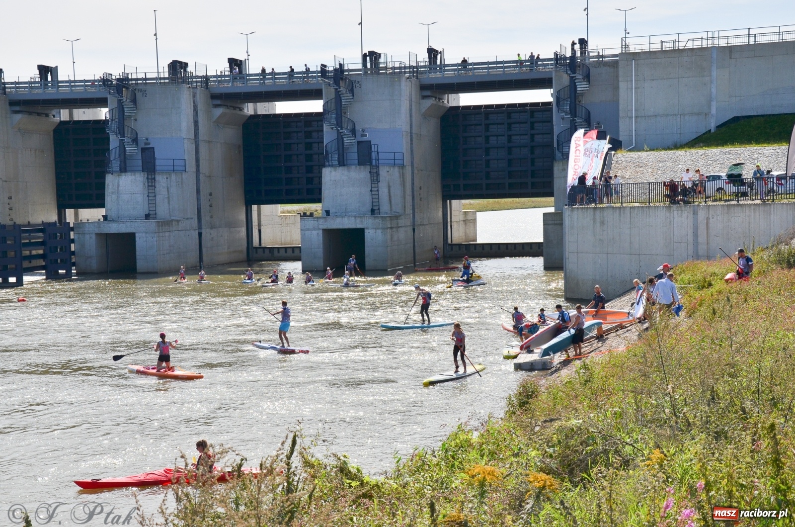 Zdjęcie w galerii na portalu naszraciborz.pl: Regaty Odra Sup Cup - long race wystartował spod zapory [FOTO i WIDEO] wiadomości z regionu