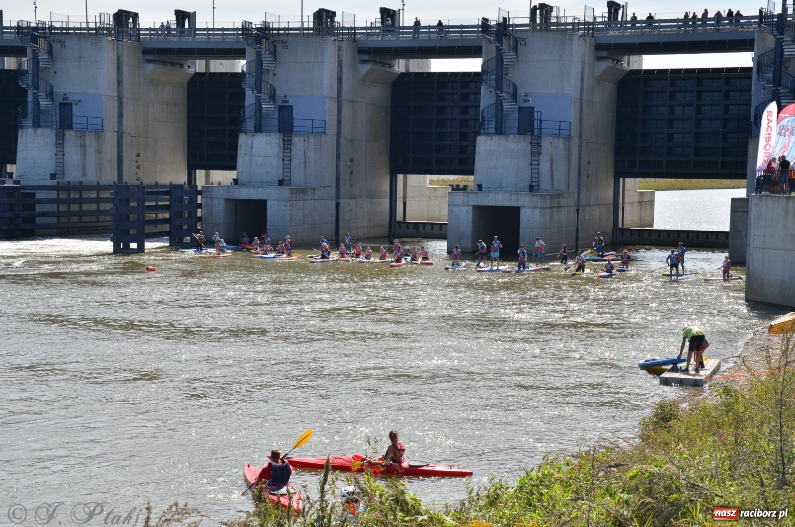 Zdjęcie w galerii na portalu naszraciborz.pl: Regaty Odra Sup Cup - long race wystartował spod zapory [FOTO i WIDEO] wiadomości z regionu