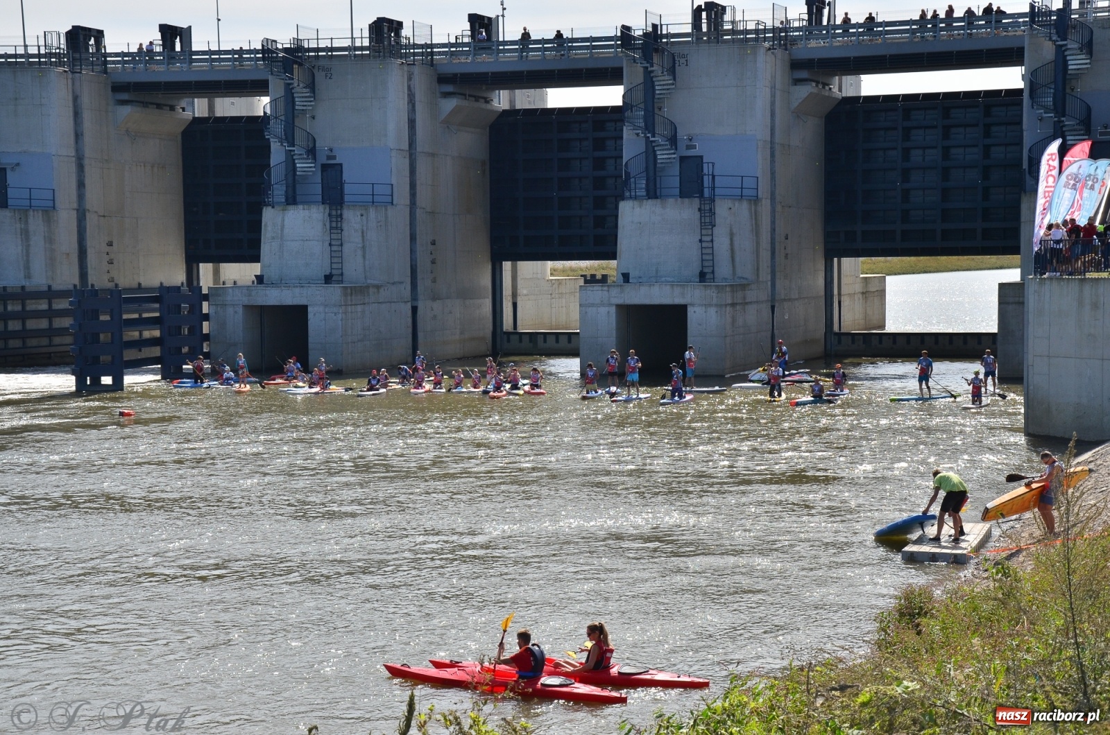 Zdjęcie w galerii na portalu naszraciborz.pl: Regaty Odra Sup Cup - long race wystartował spod zapory [FOTO i WIDEO] wiadomości z regionu