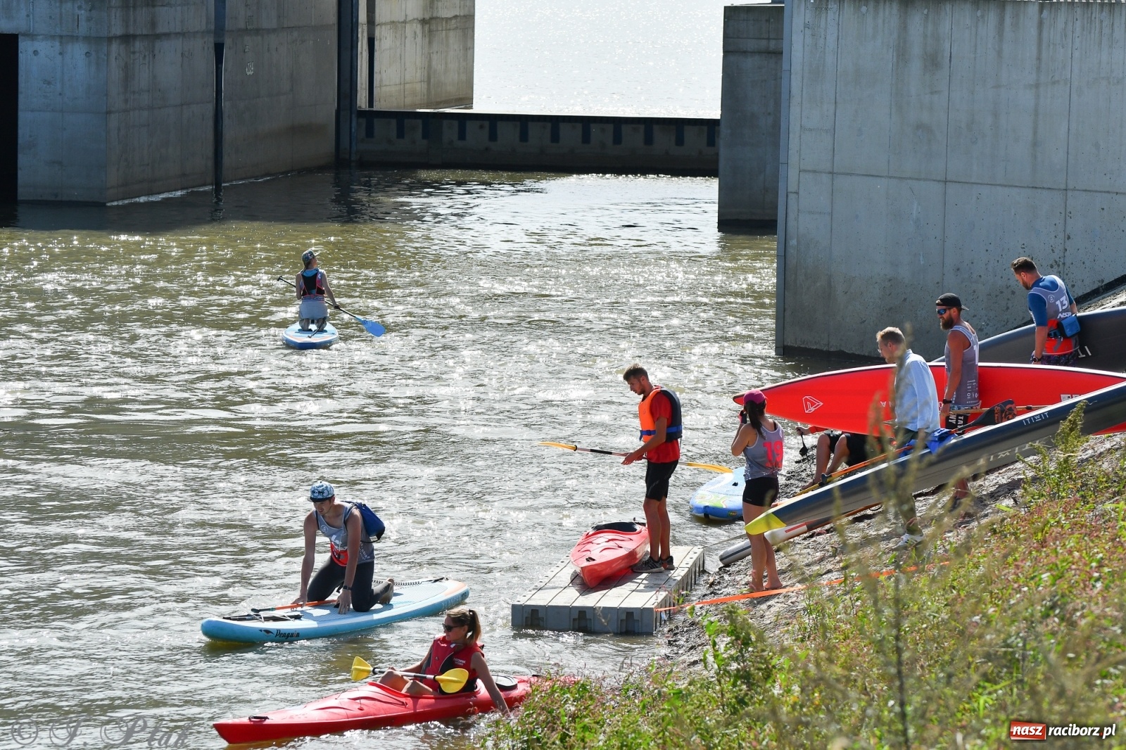 Zdjęcie w galerii na portalu naszraciborz.pl: Regaty Odra Sup Cup - long race wystartował spod zapory [FOTO i WIDEO] wiadomości z regionu