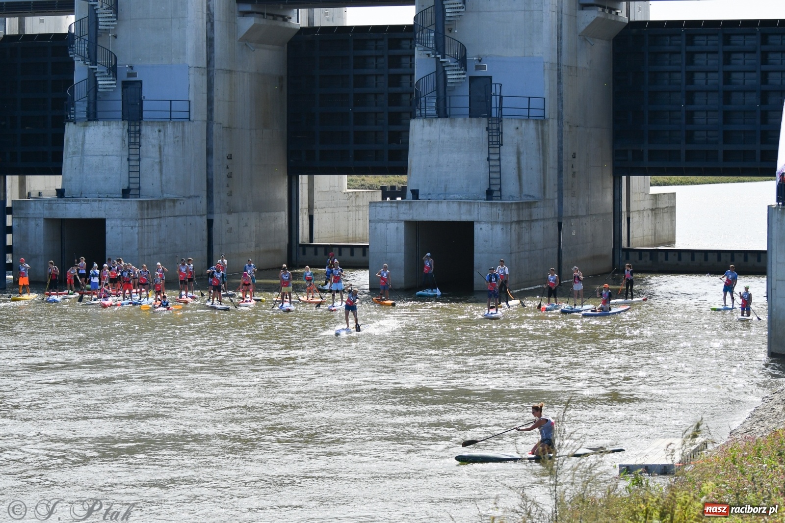 Zdjęcie w galerii na portalu naszraciborz.pl: Regaty Odra Sup Cup - long race wystartował spod zapory [FOTO i WIDEO] wiadomości z regionu