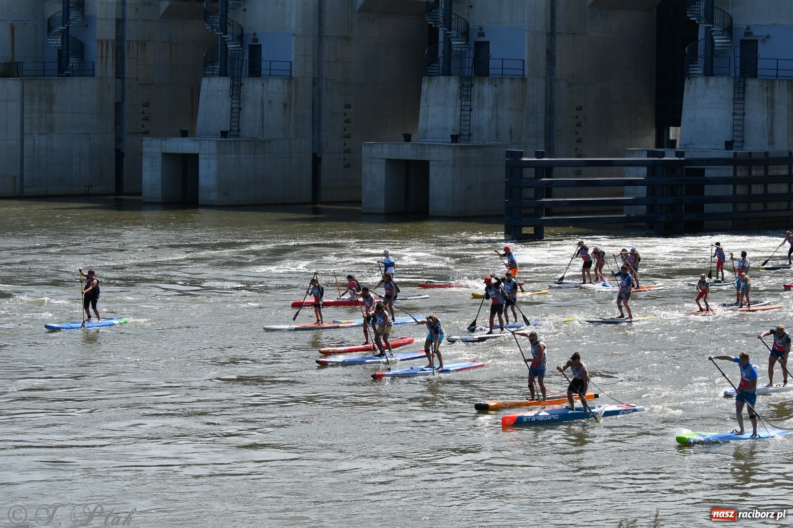 Zdjęcie w galerii na portalu naszraciborz.pl: Regaty Odra Sup Cup - long race wystartował spod zapory [FOTO i WIDEO] wiadomości z regionu