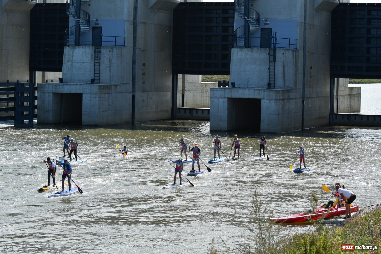 Zdjęcie w galerii na portalu naszraciborz.pl: Regaty Odra Sup Cup - long race wystartował spod zapory [FOTO i WIDEO] wiadomości z regionu