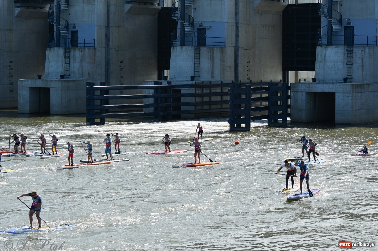 Zdjęcie w galerii na portalu naszraciborz.pl: Regaty Odra Sup Cup - long race wystartował spod zapory [FOTO i WIDEO] wiadomości z regionu