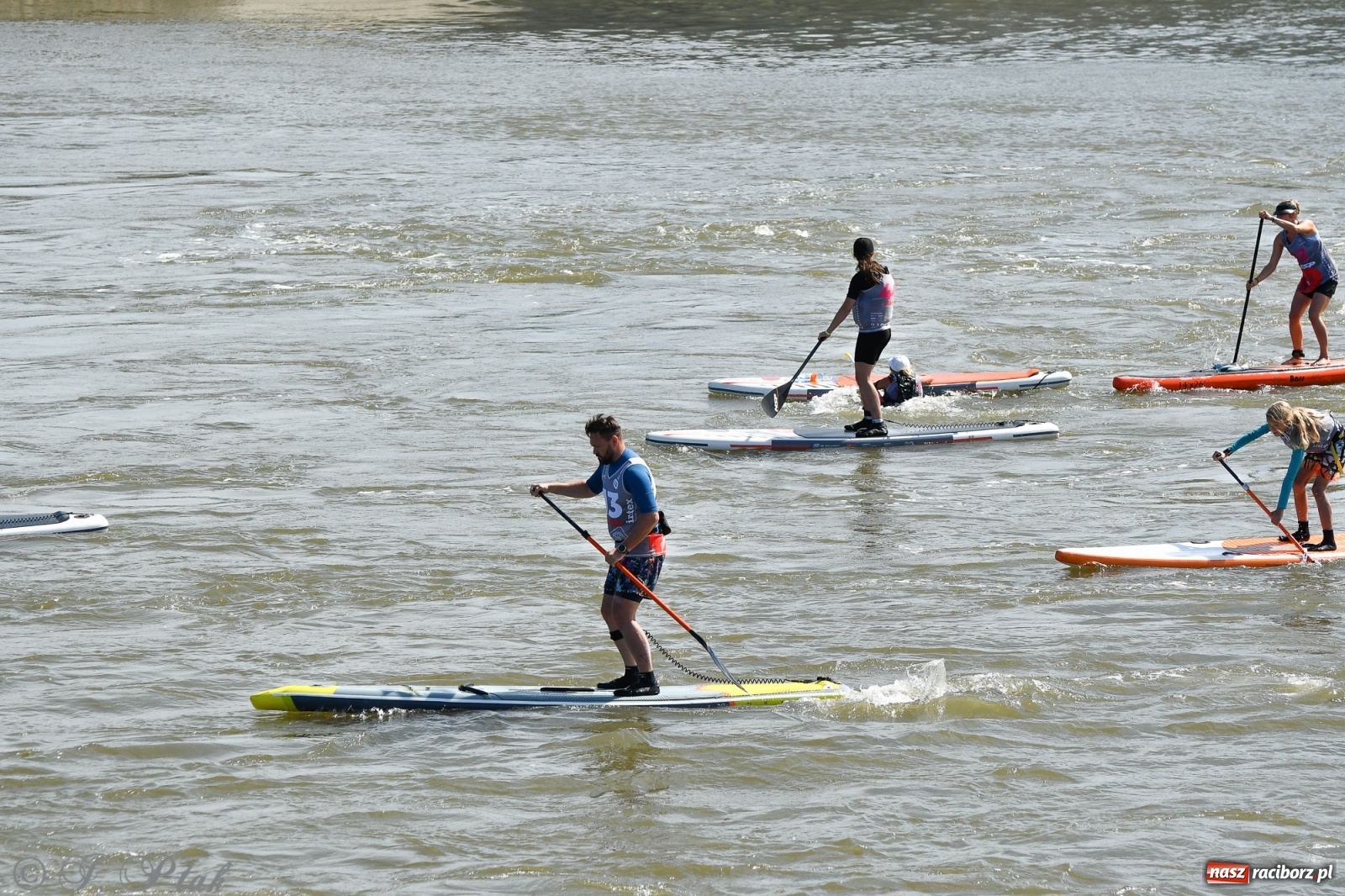 Zdjęcie w galerii na portalu naszraciborz.pl: Regaty Odra Sup Cup - long race wystartował spod zapory [FOTO i WIDEO] wiadomości z regionu