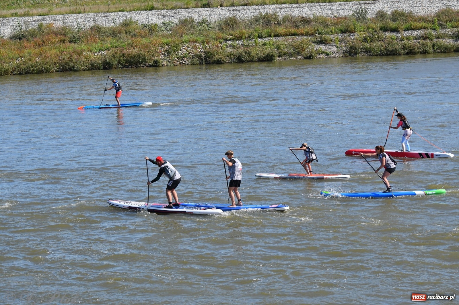 Zdjęcie w galerii na portalu naszraciborz.pl: Regaty Odra Sup Cup - long race wystartował spod zapory [FOTO i WIDEO] wiadomości z regionu
