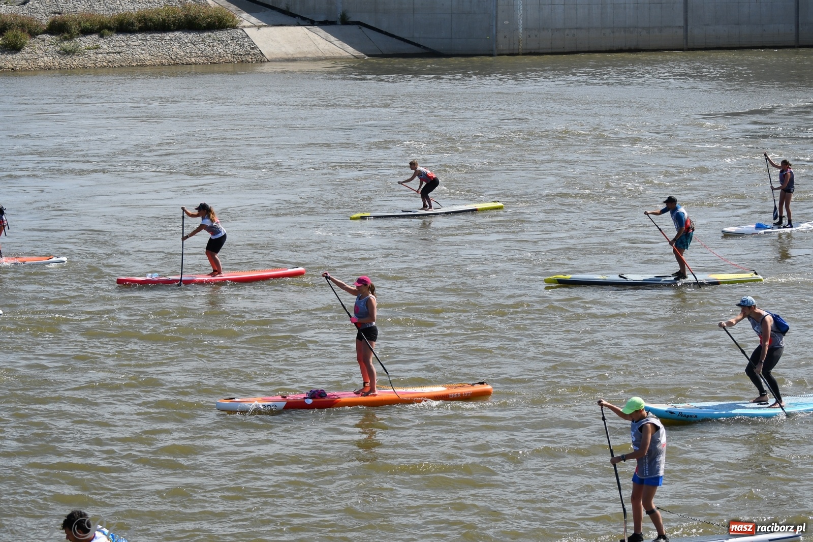 Zdjęcie w galerii na portalu naszraciborz.pl: Regaty Odra Sup Cup - long race wystartował spod zapory [FOTO i WIDEO] wiadomości z regionu