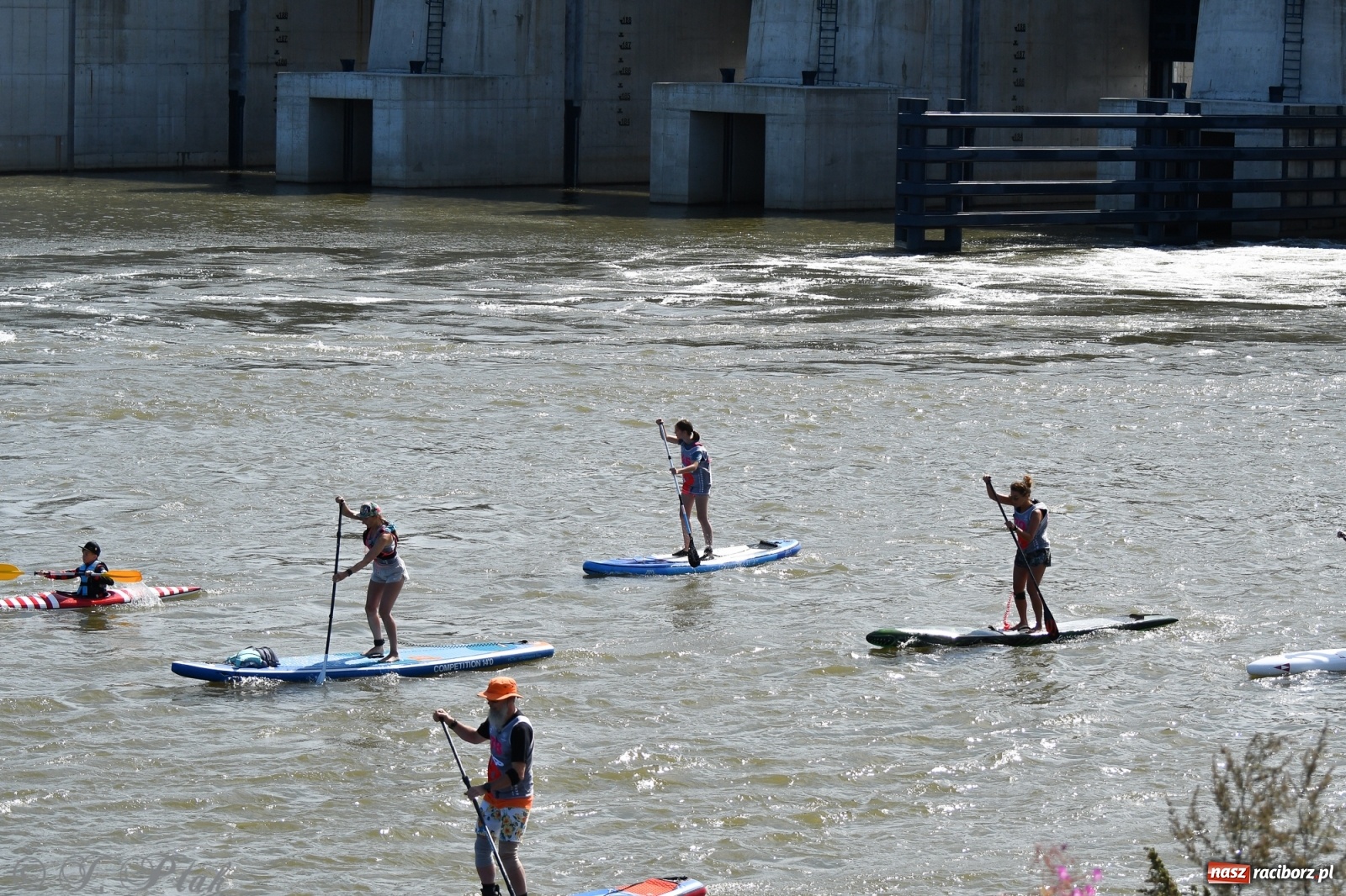 Zdjęcie w galerii na portalu naszraciborz.pl: Regaty Odra Sup Cup - long race wystartował spod zapory [FOTO i WIDEO] wiadomości z regionu