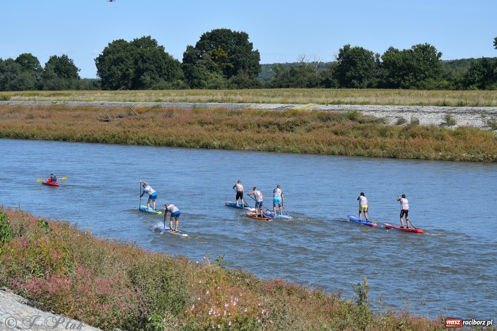 Zdjęcie w galerii na portalu naszraciborz.pl: Regaty Odra Sup Cup - long race wystartował spod zapory [FOTO i WIDEO] wiadomości z regionu