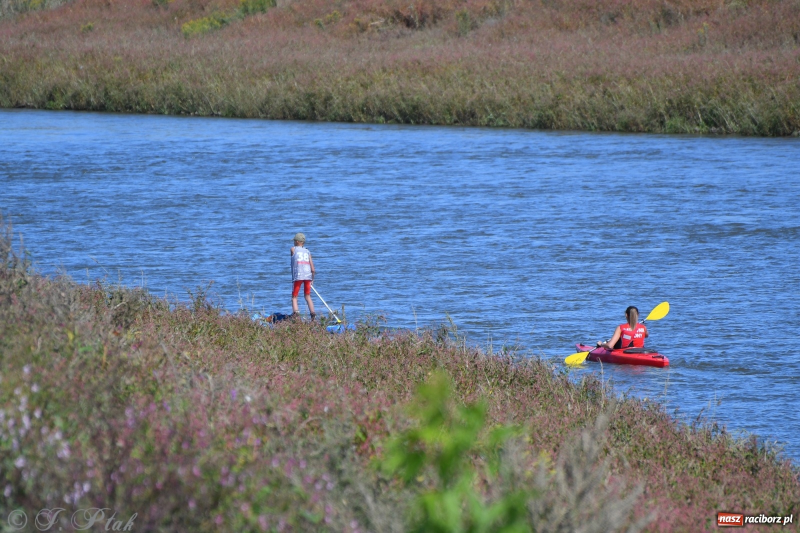 Zdjęcie w galerii na portalu naszraciborz.pl: Regaty Odra Sup Cup - long race wystartował spod zapory [FOTO i WIDEO] wiadomości z regionu
