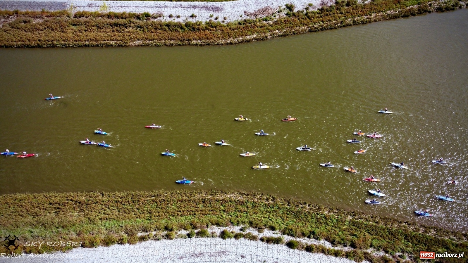 Zdjęcie w galerii na portalu naszraciborz.pl: Regaty Odra Sup Cup - long race wystartował spod zapory [FOTO i WIDEO] wiadomości z regionu