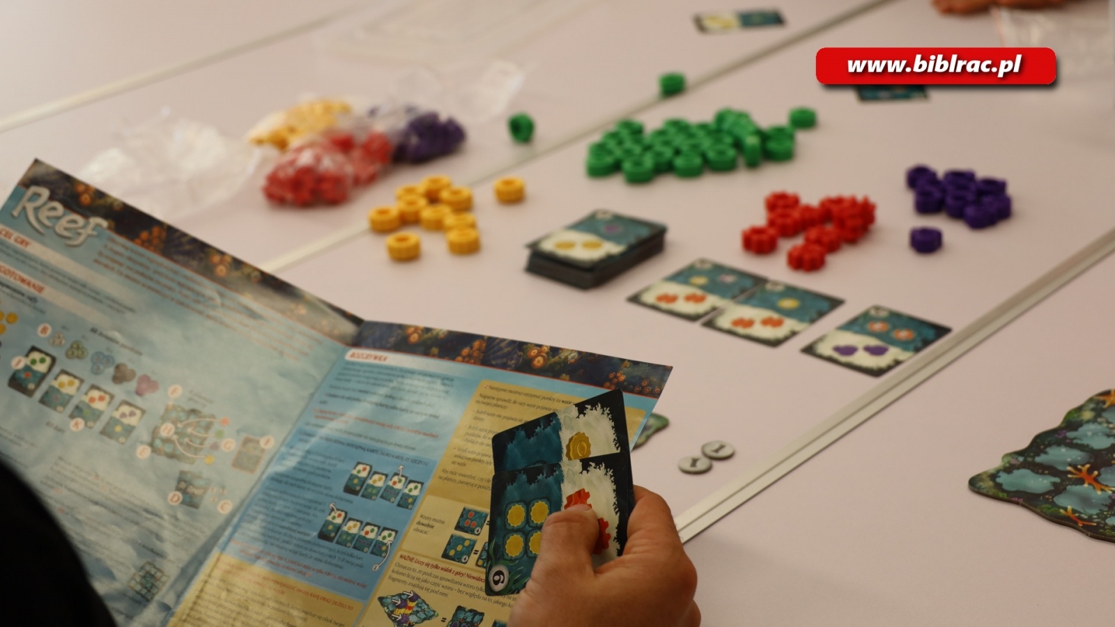 Zdjęcie w galerii na portalu naszraciborz.pl: Biblioteczny Festiwal Gier Planszowych za nami [FOTO] wiadomości z regionu