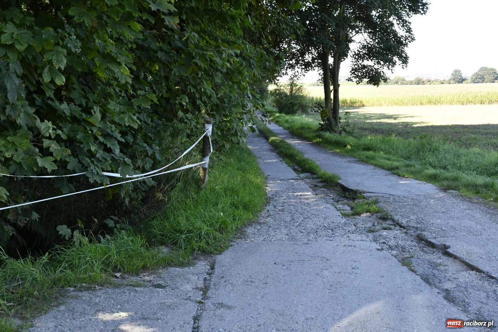 Zdjęcie w galerii na portalu naszraciborz.pl: Po wertepach do Zaczarowanego Ogrodu wiadomości z regionu