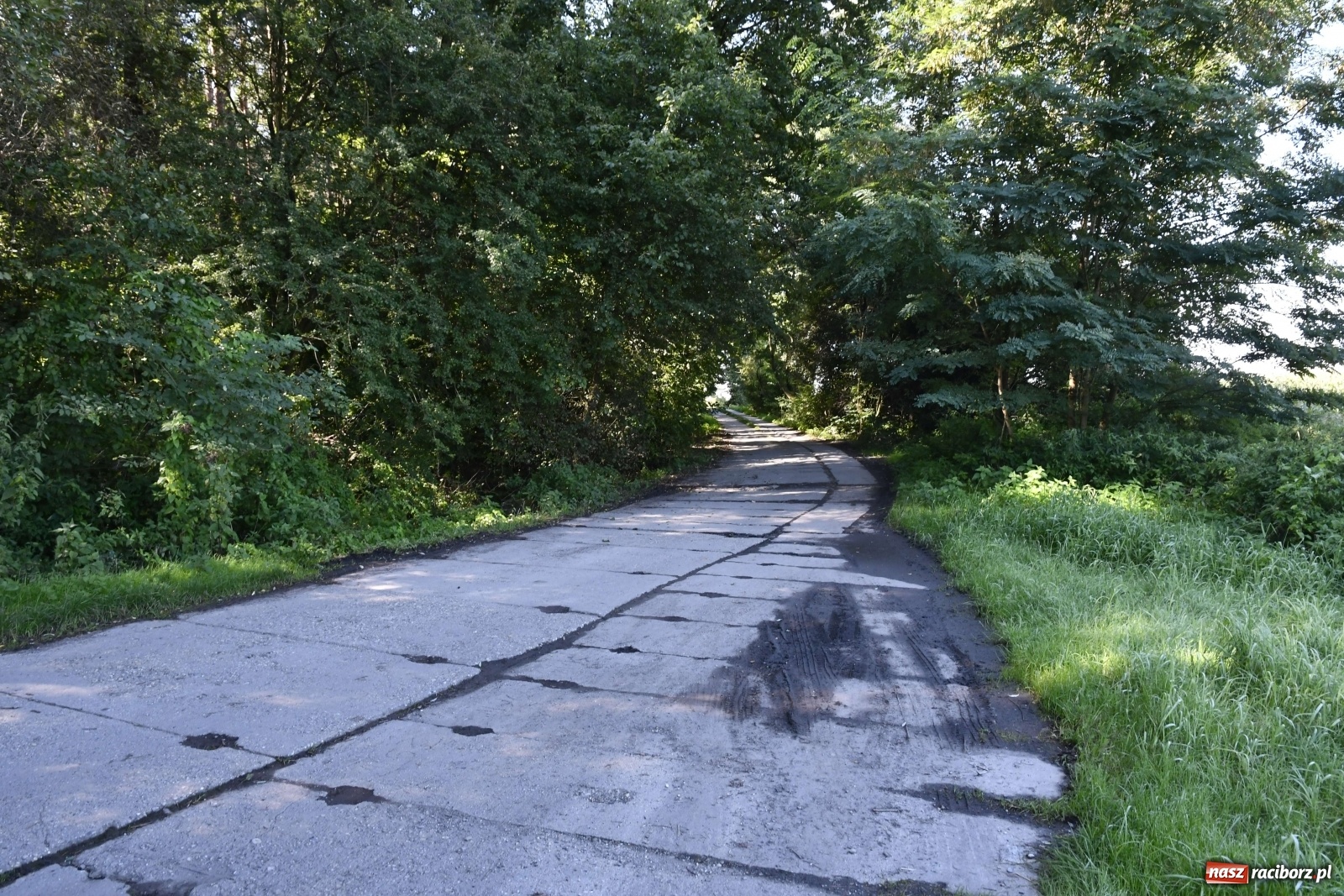 Zdjęcie w galerii na portalu naszraciborz.pl: Po wertepach do Zaczarowanego Ogrodu wiadomości z regionu