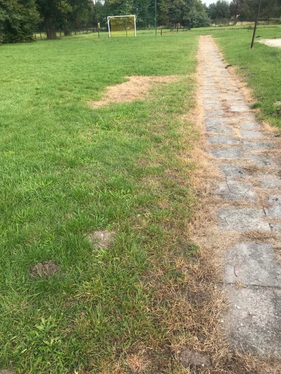 Zdjęcie w galerii na portalu naszraciborz.pl: Zagłosuj na projekt kuźniańskiego MOW wiadomości z regionu