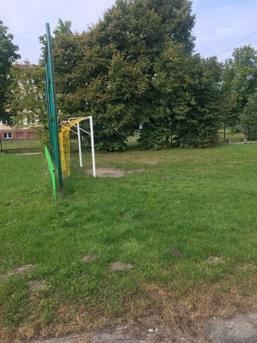 Zdjęcie w galerii na portalu naszraciborz.pl: Zagłosuj na projekt kuźniańskiego MOW wiadomości z regionu