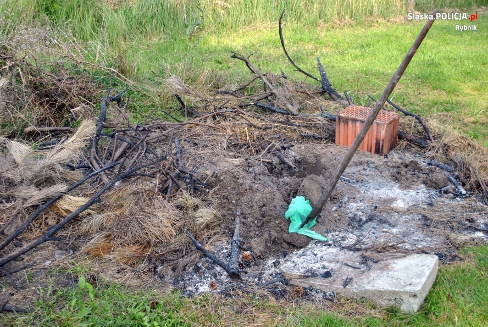 Zdjęcie w galerii na portalu naszraciborz.pl: Dwóch rybniczan odpowie za zabicie szczeniąt wiadomości z regionu