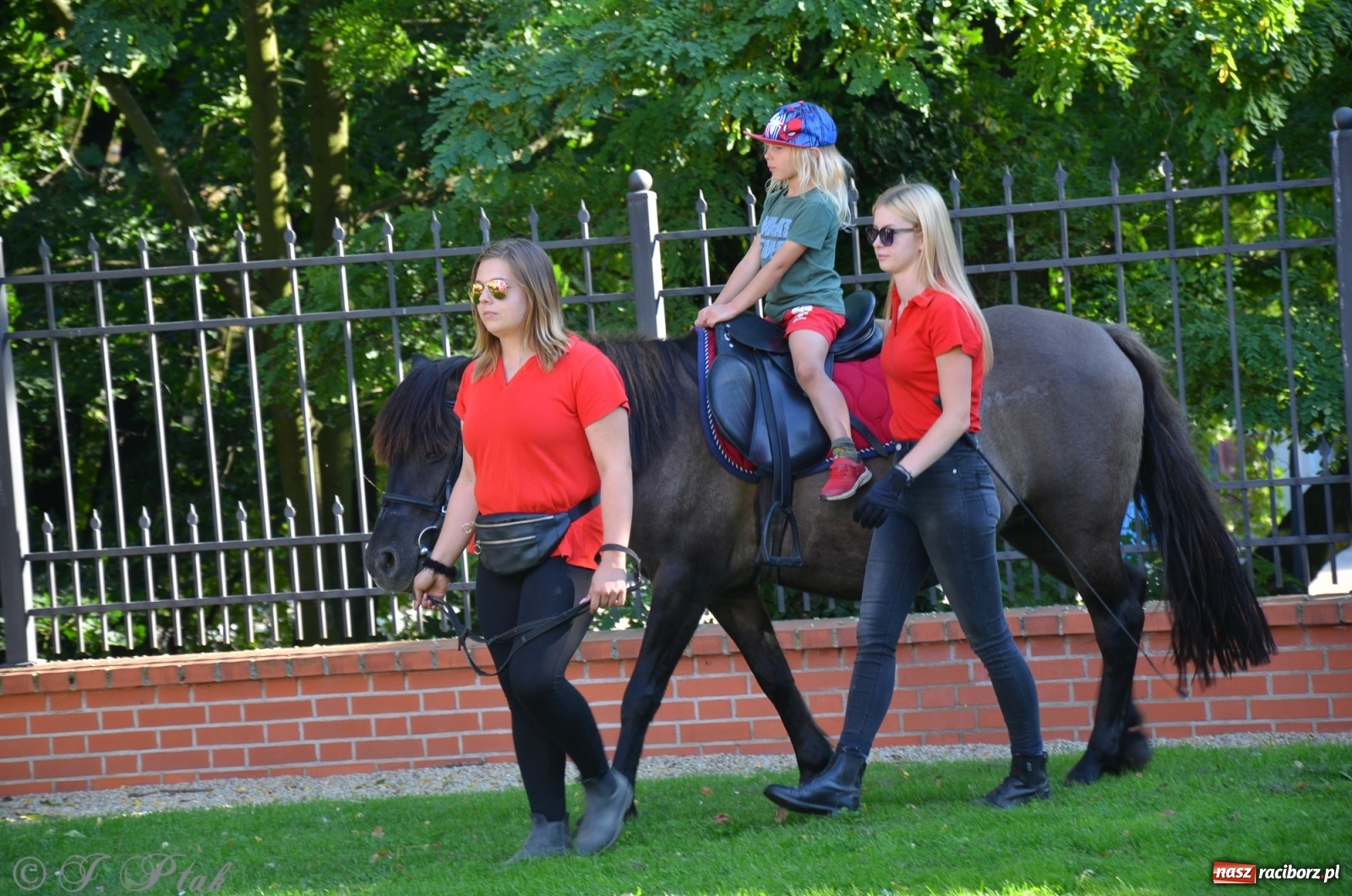 Zdjęcie w galerii na portalu naszraciborz.pl: MDK pochwalił się osiągnięciami na festynie na zamku wiadomości z regionu