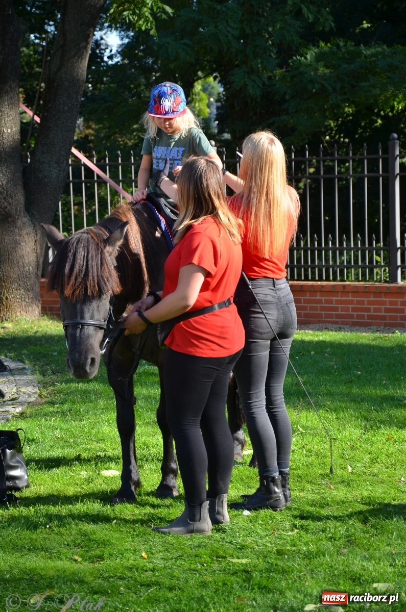 Zdjęcie w galerii na portalu naszraciborz.pl: MDK pochwalił się osiągnięciami na festynie na zamku wiadomości z regionu