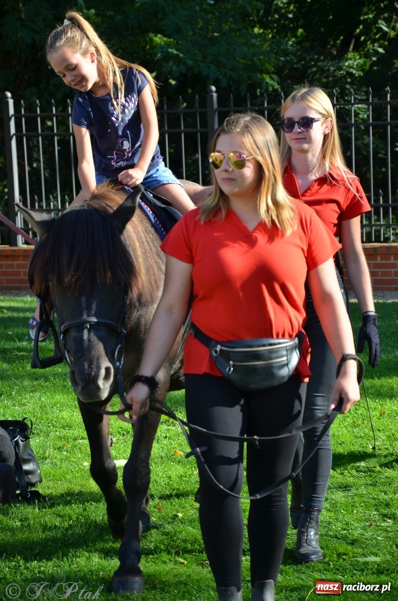 Zdjęcie w galerii na portalu naszraciborz.pl: MDK pochwalił się osiągnięciami na festynie na zamku wiadomości z regionu