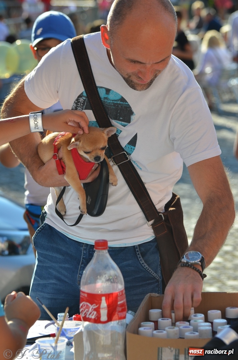 Zdjęcie w galerii na portalu naszraciborz.pl: MDK pochwalił się osiągnięciami na festynie na zamku wiadomości z regionu