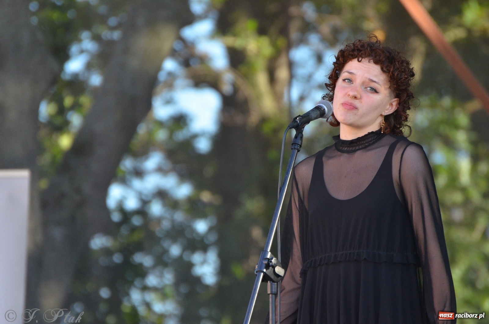 Zdjęcie w galerii na portalu naszraciborz.pl: MDK pochwalił się osiągnięciami na festynie na zamku wiadomości z regionu