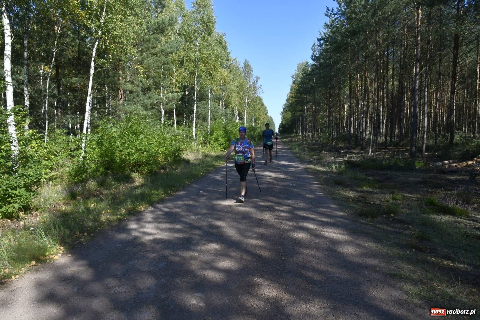 Zdjęcie w galerii na portalu naszraciborz.pl: VI Kuźniański Półmaraton Leśny RAFAMET wiadomości z regionu