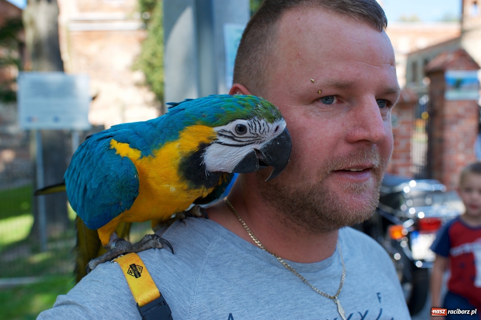 Zdjęcie w galerii na portalu naszraciborz.pl: Starych pojazdów czar. Rajd Pruski zawitał do Tworkowa [FOTO] wiadomości z regionu