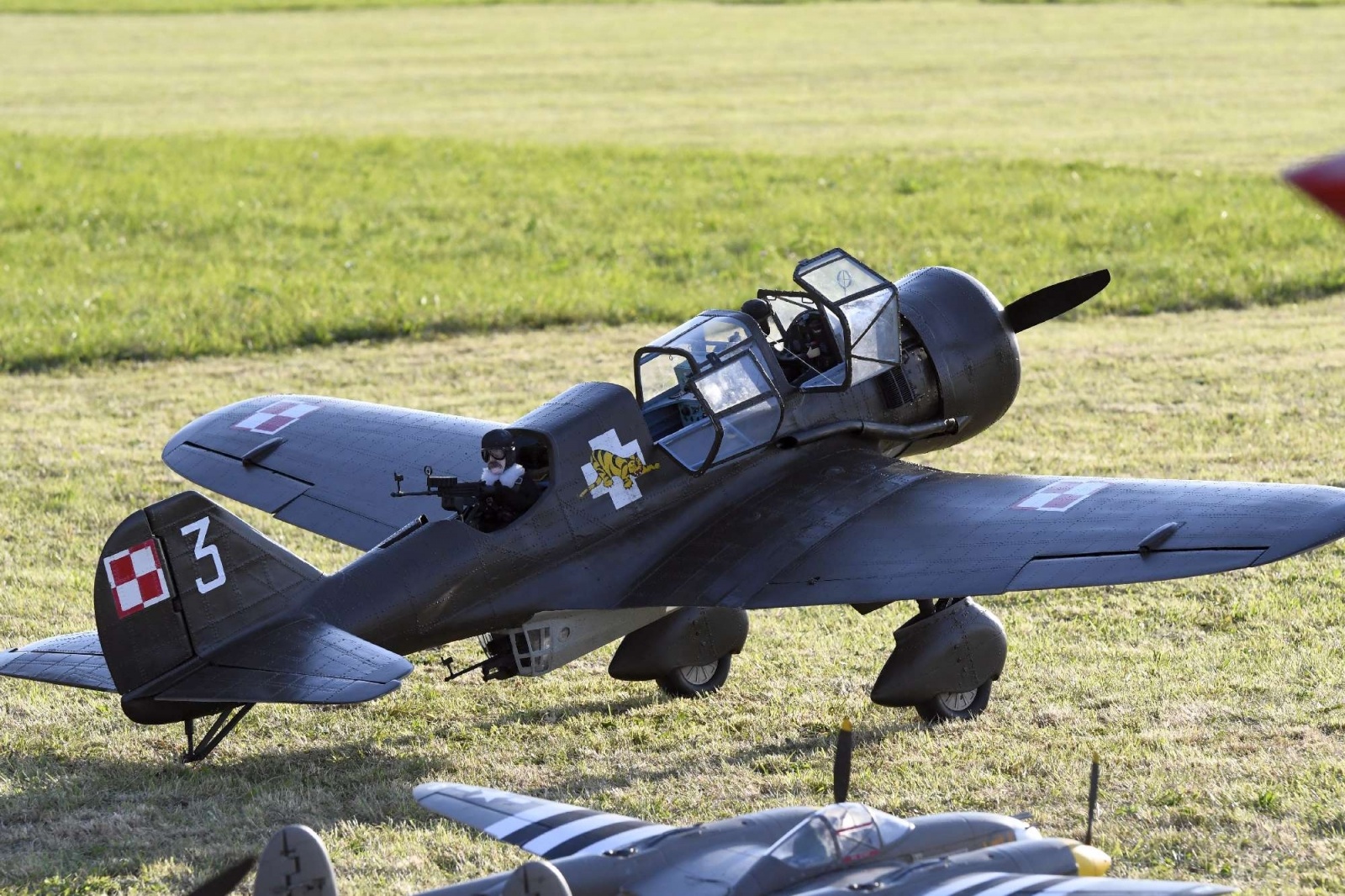 Zdjęcie w galerii na portalu naszraciborz.pl: Raciborskie air show ruszyło [FOTO i WIDEO] wiadomości z regionu