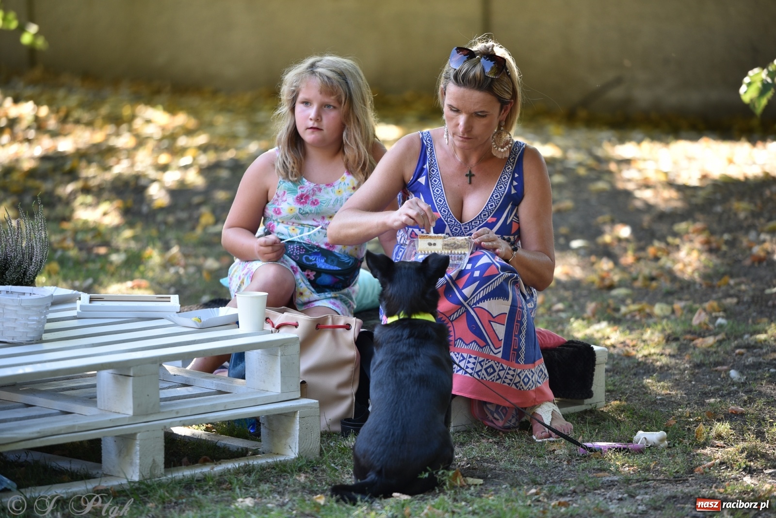 Zdjęcie w galerii na portalu naszraciborz.pl: XXX Festiwal Spotkałem Pana - dzień 1 wiadomości z regionu