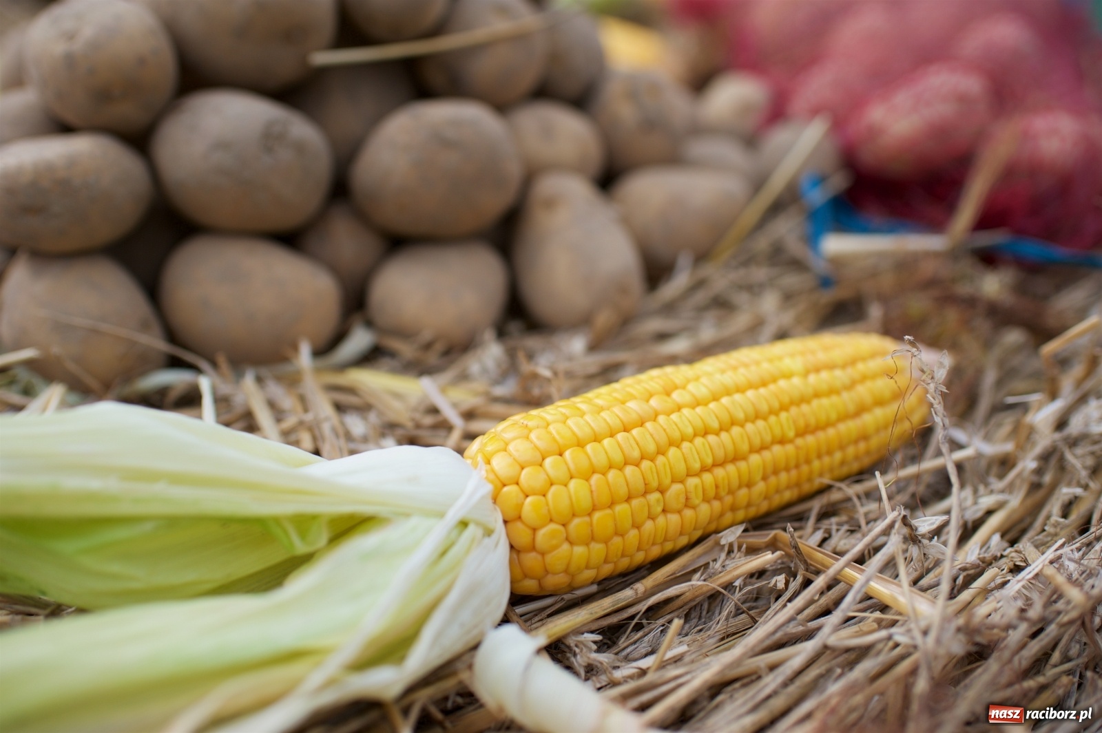 Zdjęcie w galerii na portalu naszraciborz.pl: W Tworkowie podziękowali za plony [FOTO i WIDEO] wiadomości z regionu