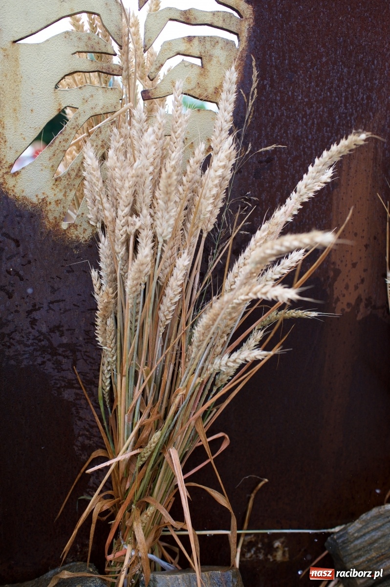 Zdjęcie w galerii na portalu naszraciborz.pl: W Tworkowie podziękowali za plony [FOTO i WIDEO] wiadomości z regionu