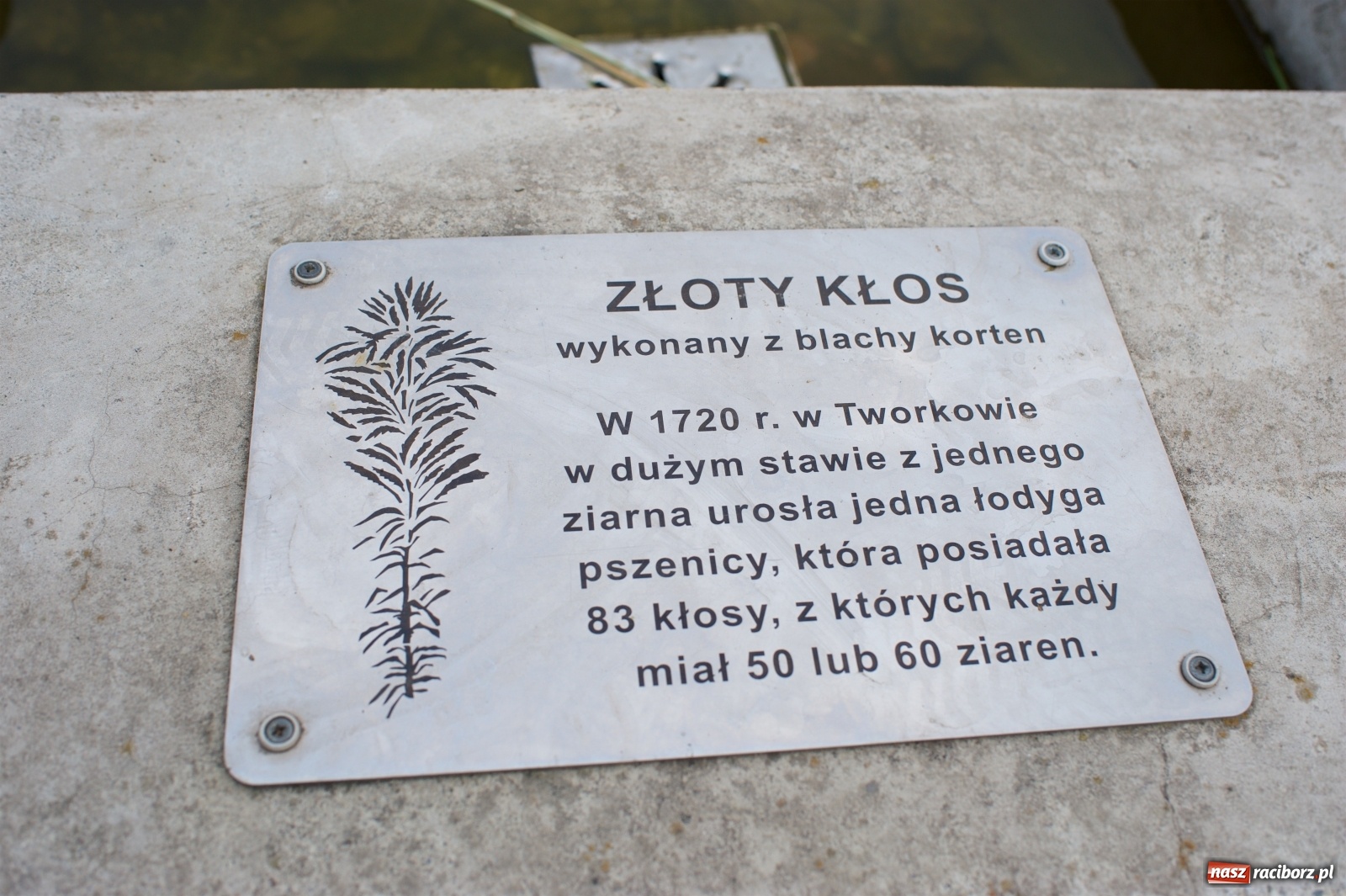 Zdjęcie w galerii na portalu naszraciborz.pl: W Tworkowie podziękowali za plony [FOTO i WIDEO] wiadomości z regionu