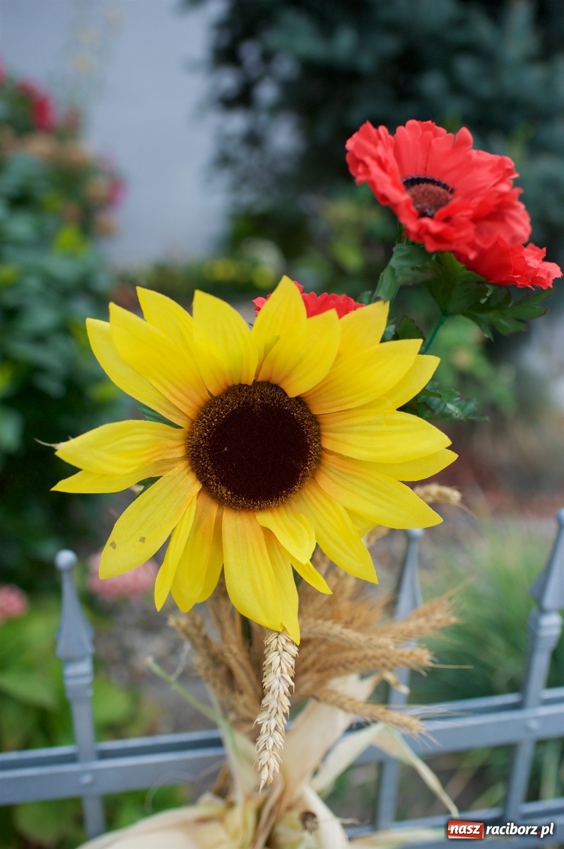 Zdjęcie w galerii na portalu naszraciborz.pl: W Tworkowie podziękowali za plony [FOTO i WIDEO] wiadomości z regionu