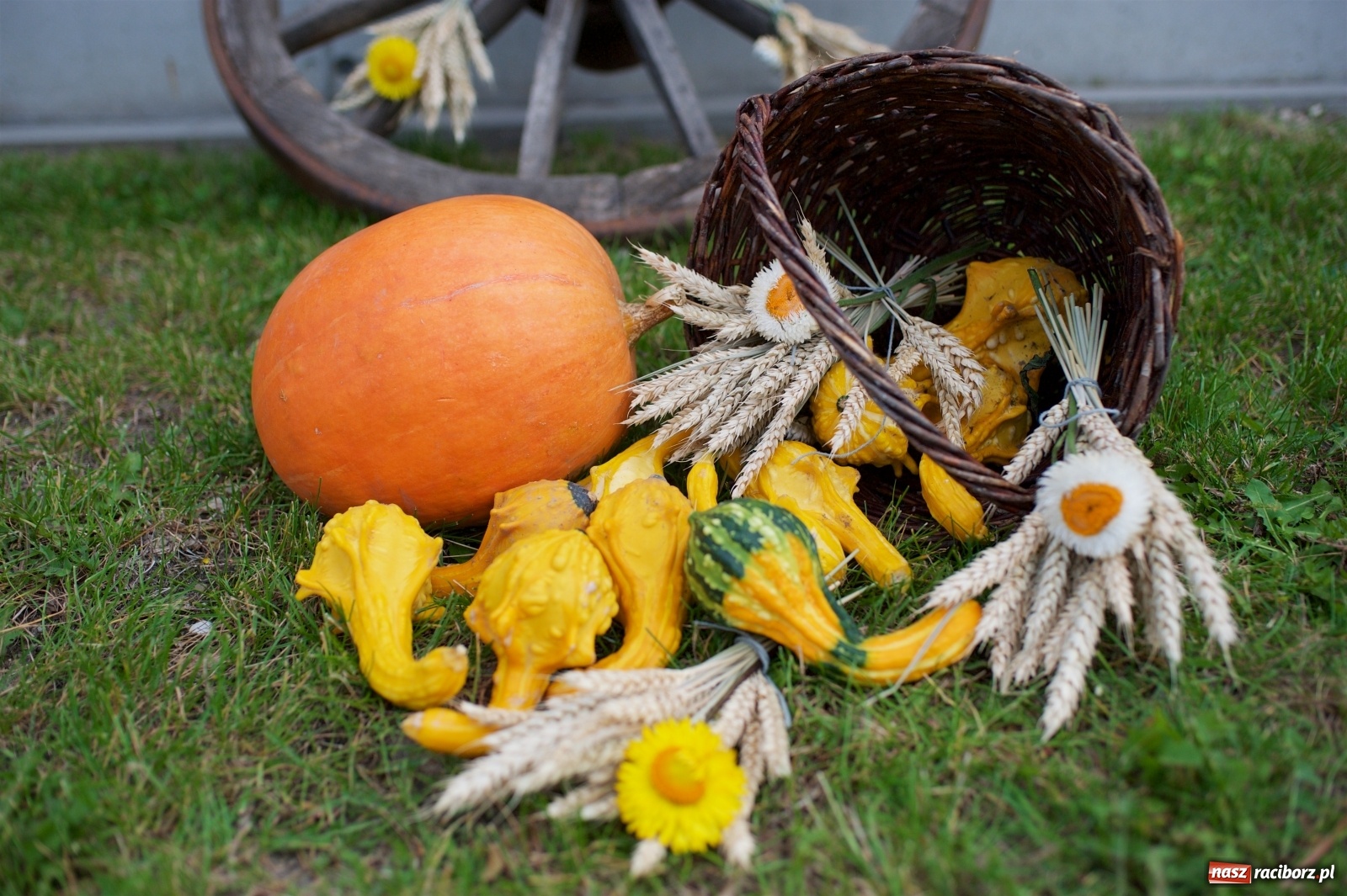 Zdjęcie w galerii na portalu naszraciborz.pl: W Tworkowie podziękowali za plony [FOTO i WIDEO] wiadomości z regionu