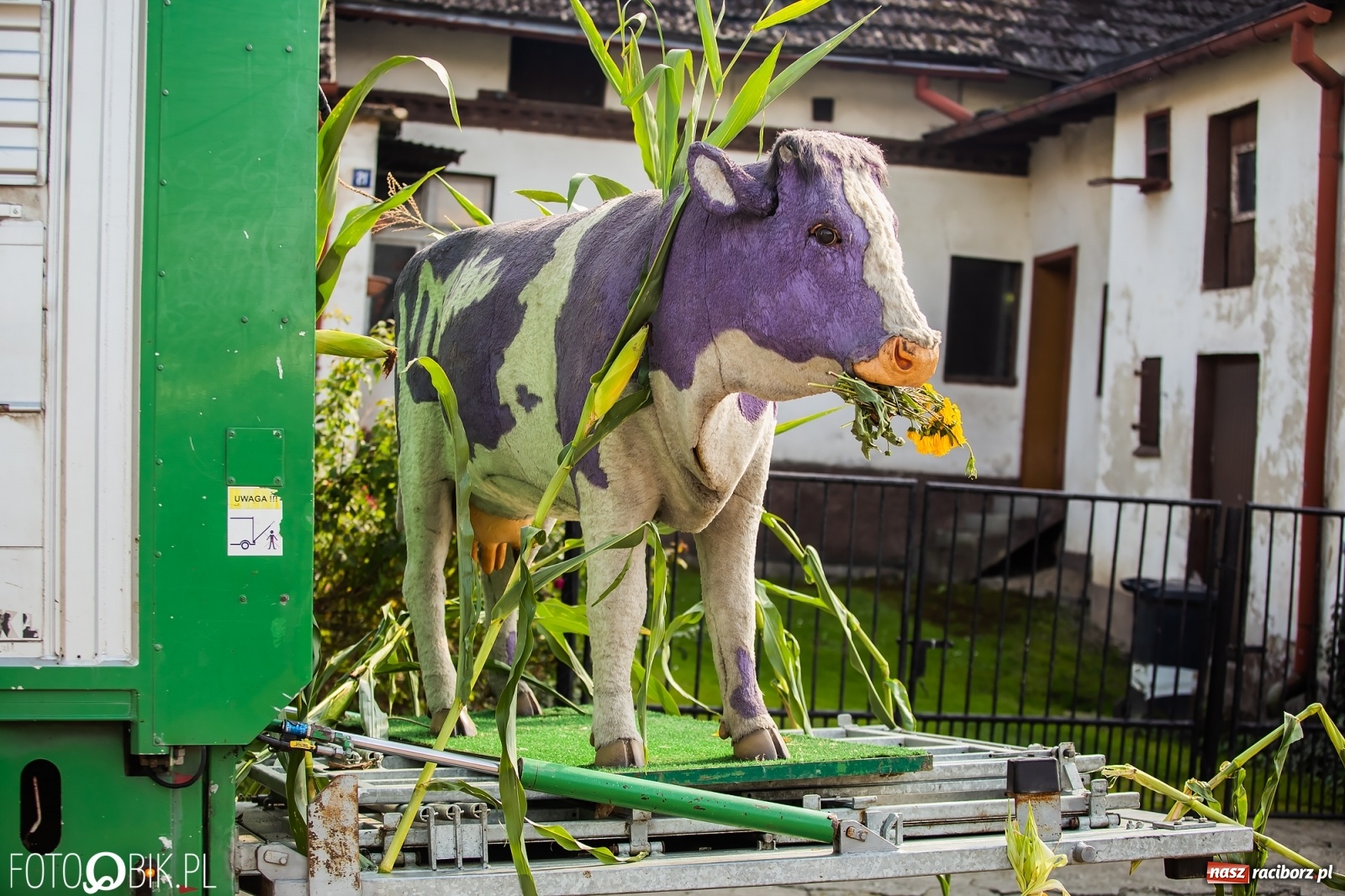 Zdjęcie w galerii na portalu naszraciborz.pl: Dożynki sołeckie w Borucinie. Spontaniczny długi korowód [FOTO i WIDEO] wiadomości z regionu