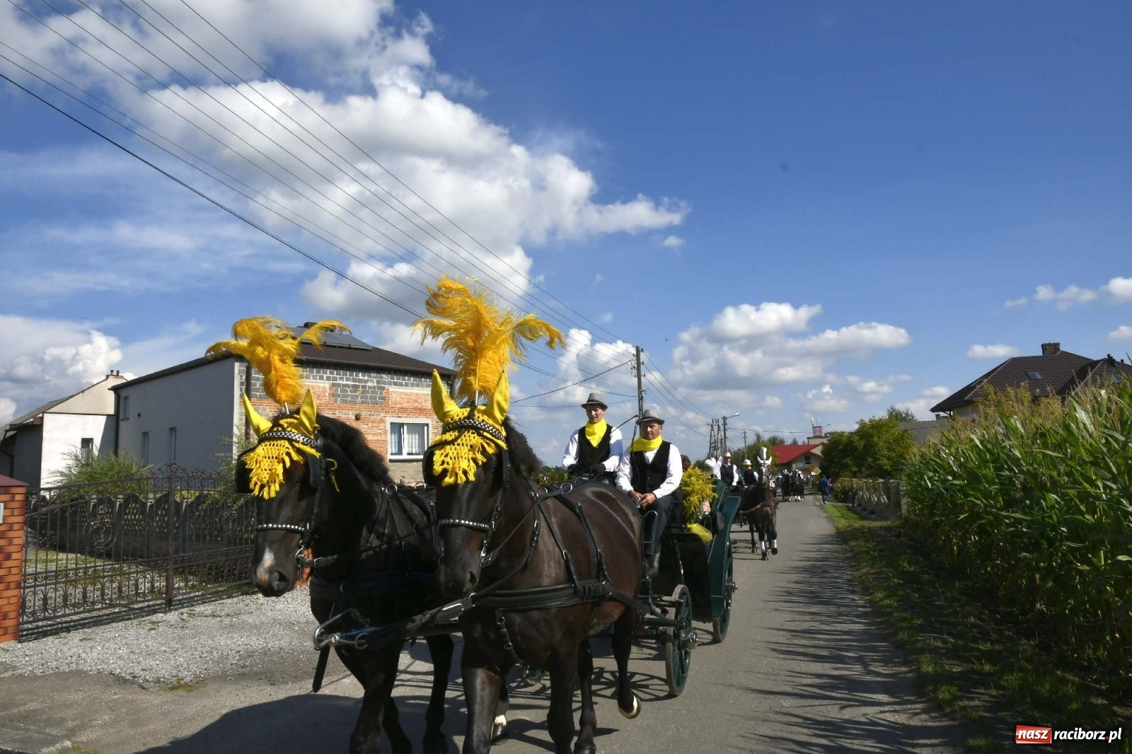 Zdjęcie w galerii na portalu naszraciborz.pl: Szaleństwo w Łańcach. Dożynki gminy Kornowac wiadomości z regionu
