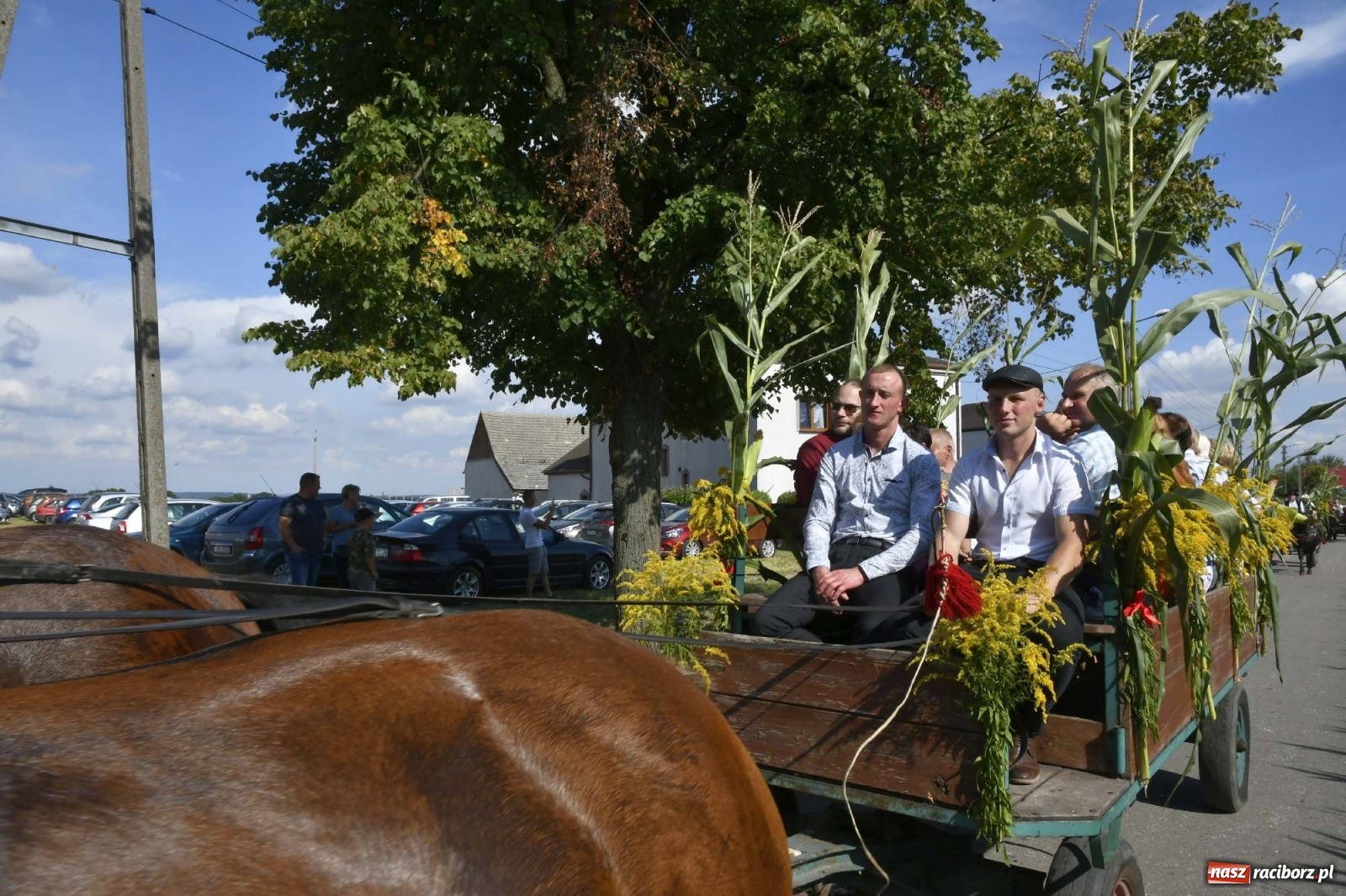 Zdjęcie w galerii na portalu naszraciborz.pl: Szaleństwo w Łańcach. Dożynki gminy Kornowac wiadomości z regionu