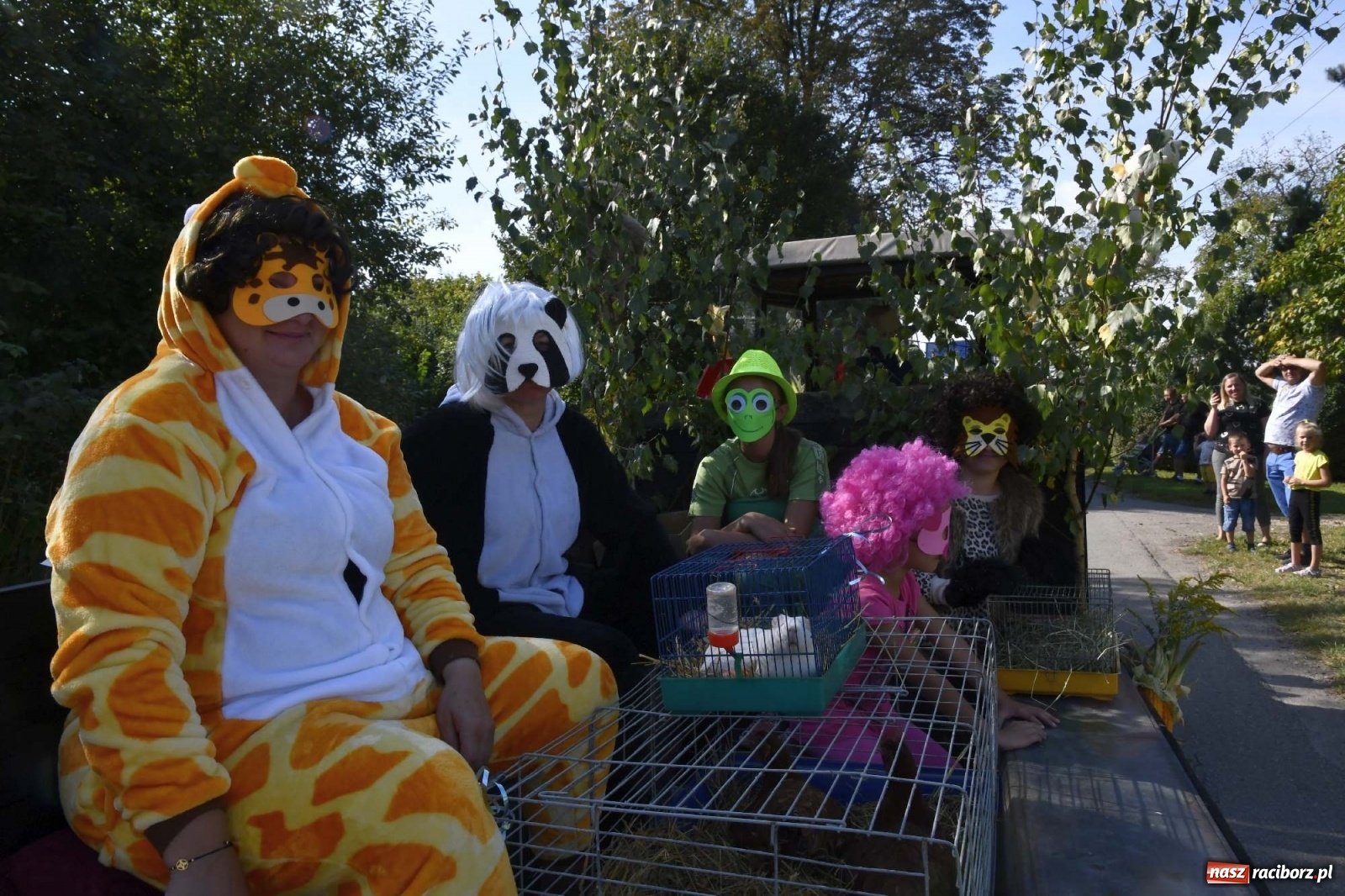 Zdjęcie w galerii na portalu naszraciborz.pl: Szaleństwo w Łańcach. Dożynki gminy Kornowac wiadomości z regionu