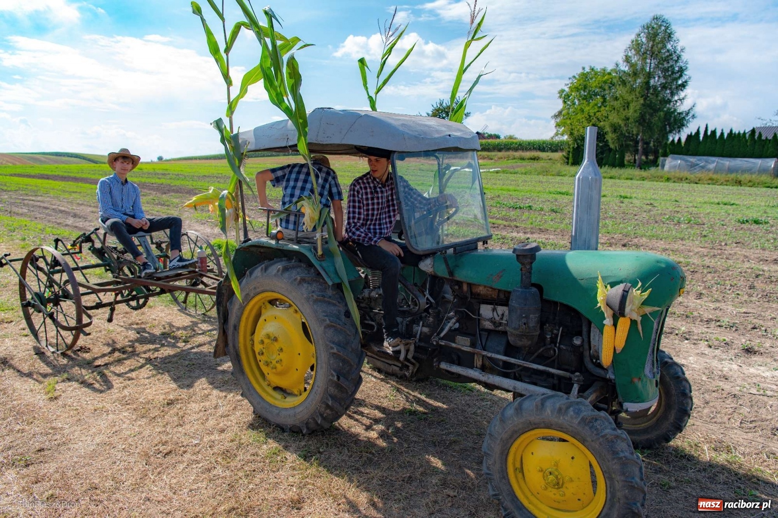 Zdjęcie w galerii na portalu naszraciborz.pl: Parada zabytkowych ciągników i maszyn rolniczych [FOTO i WIDEO] wiadomości z regionu