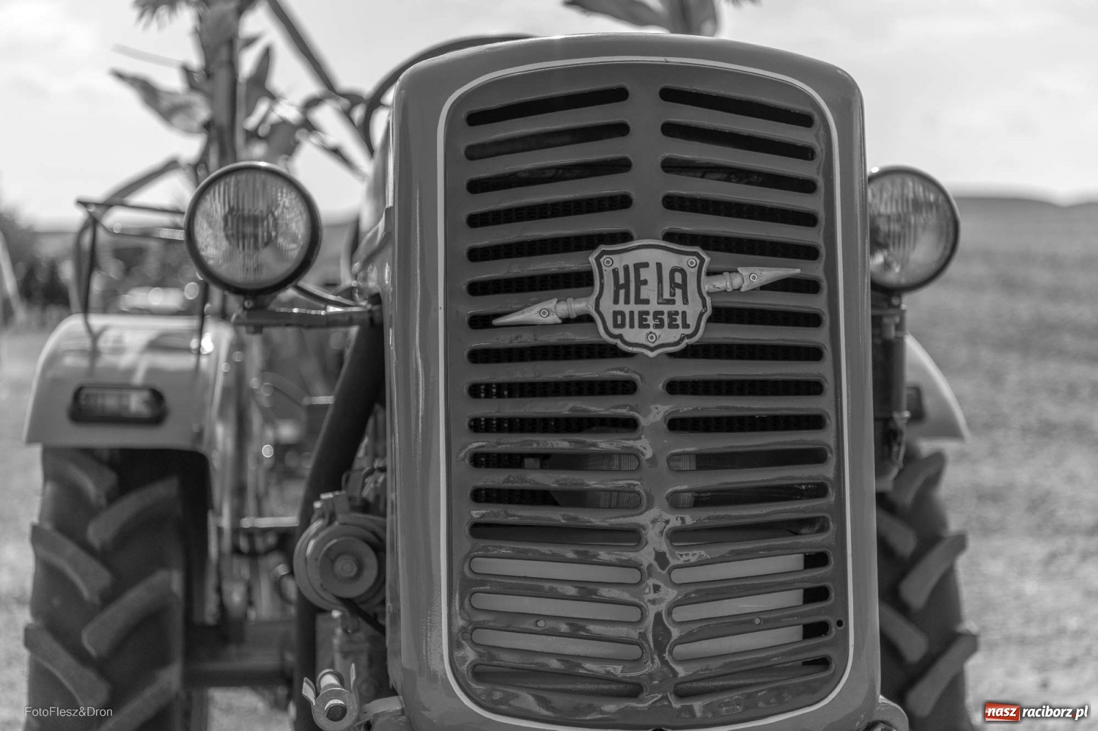 Zdjęcie w galerii na portalu naszraciborz.pl: Parada zabytkowych ciągników i maszyn rolniczych [FOTO i WIDEO] wiadomości z regionu